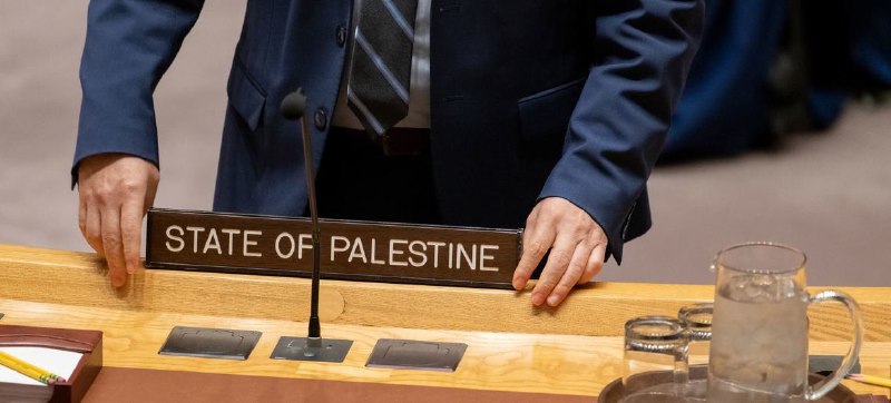 联合国安理会以12票赞成、1票反对（美国）、2票弃权（英国、瑞士）的结果，否决了关于巴勒斯坦申请成为联合国正式会员国的决议草案