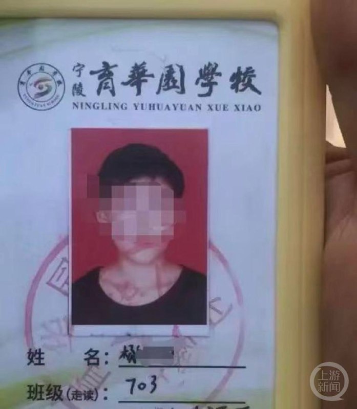 河南省商丘市宁陵县育华园学校学生杨某某2023年12月24日坠楼死亡，疑点引发大批民众示威