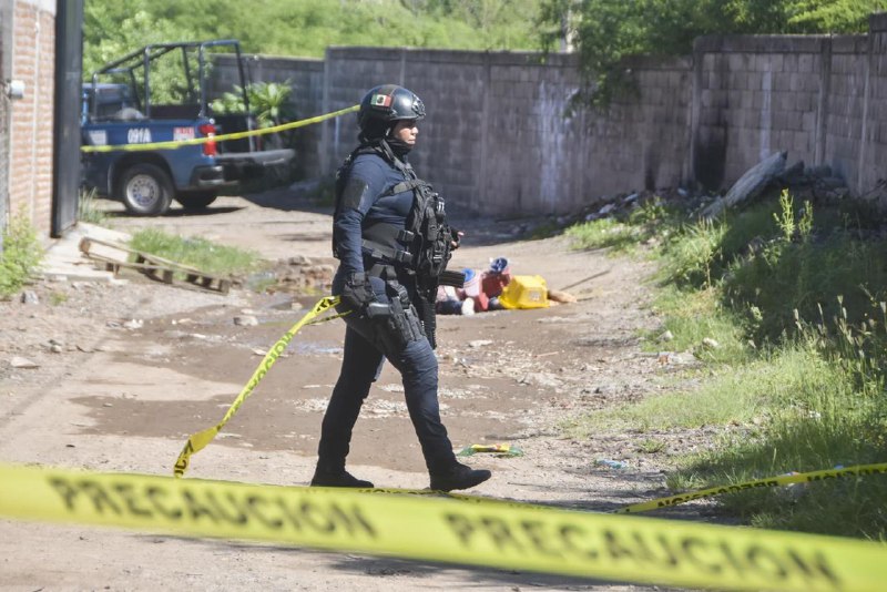 墨西哥锡那罗亚贩毒集团两派系发生冲突，造成至少30人死亡