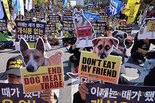 韩国国会9日通过《关于禁止以食用为目的饲养、宰杀和流通犬只的特别法》草案