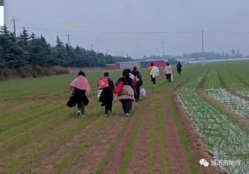10月29日起，河南多地市陆续发布致在富士康工作人员的公开信，表示做好了当地户籍员工返回家乡的准备