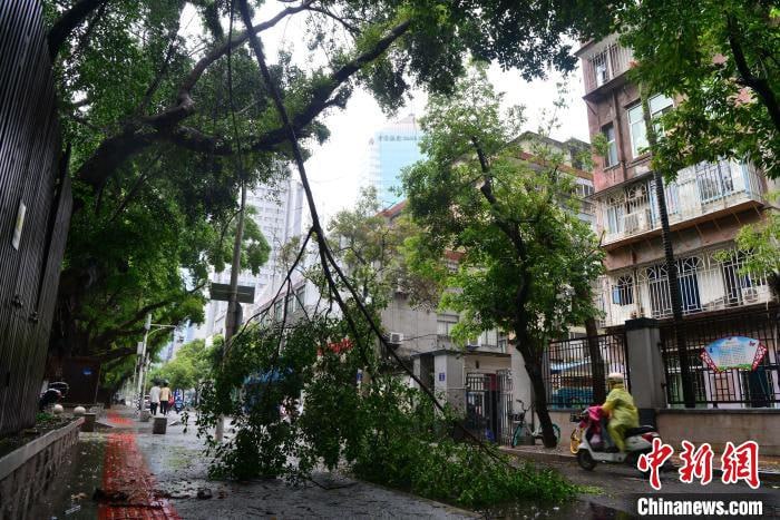 台风“格美”于25日19:50许在福建莆田秀屿区以台风级登陆