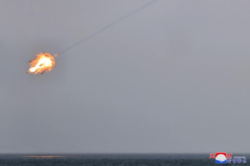 朝鲜导弹总局3月20日试射由军工企业正式开始生产的最新型防空导弹